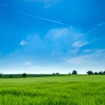 panoramic photography of green field